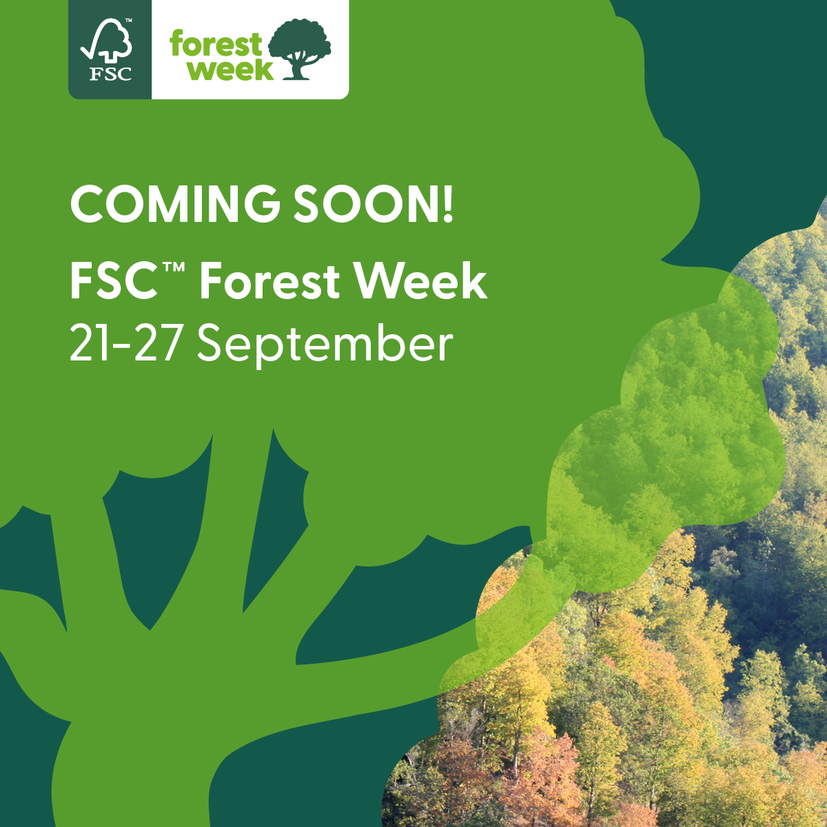 FSC Forest Week Pre-Campaign 3 1x1 TM.png