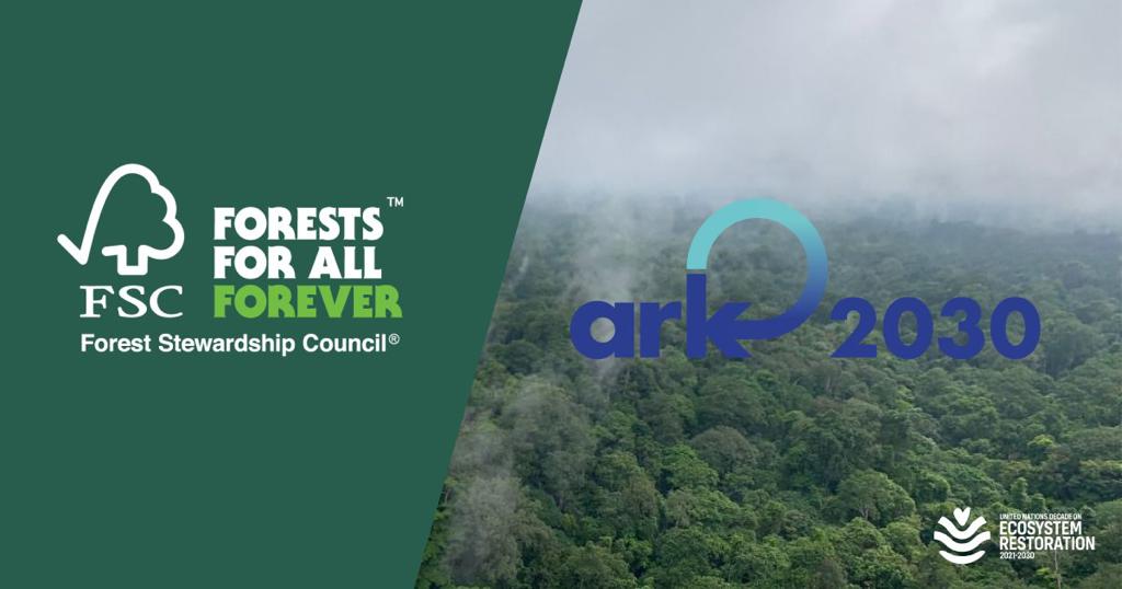 FSC and Ark2030 engage in a rainforest protection program in Gabon –  Central Africa | Forest Stewardship Council