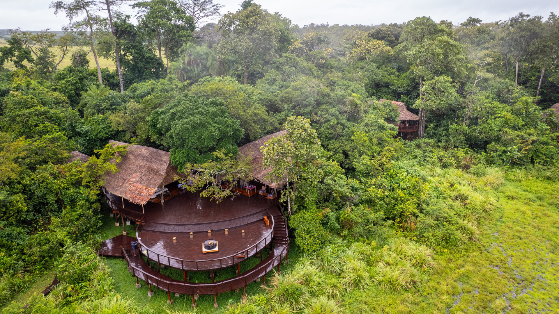FSC ZAMBA