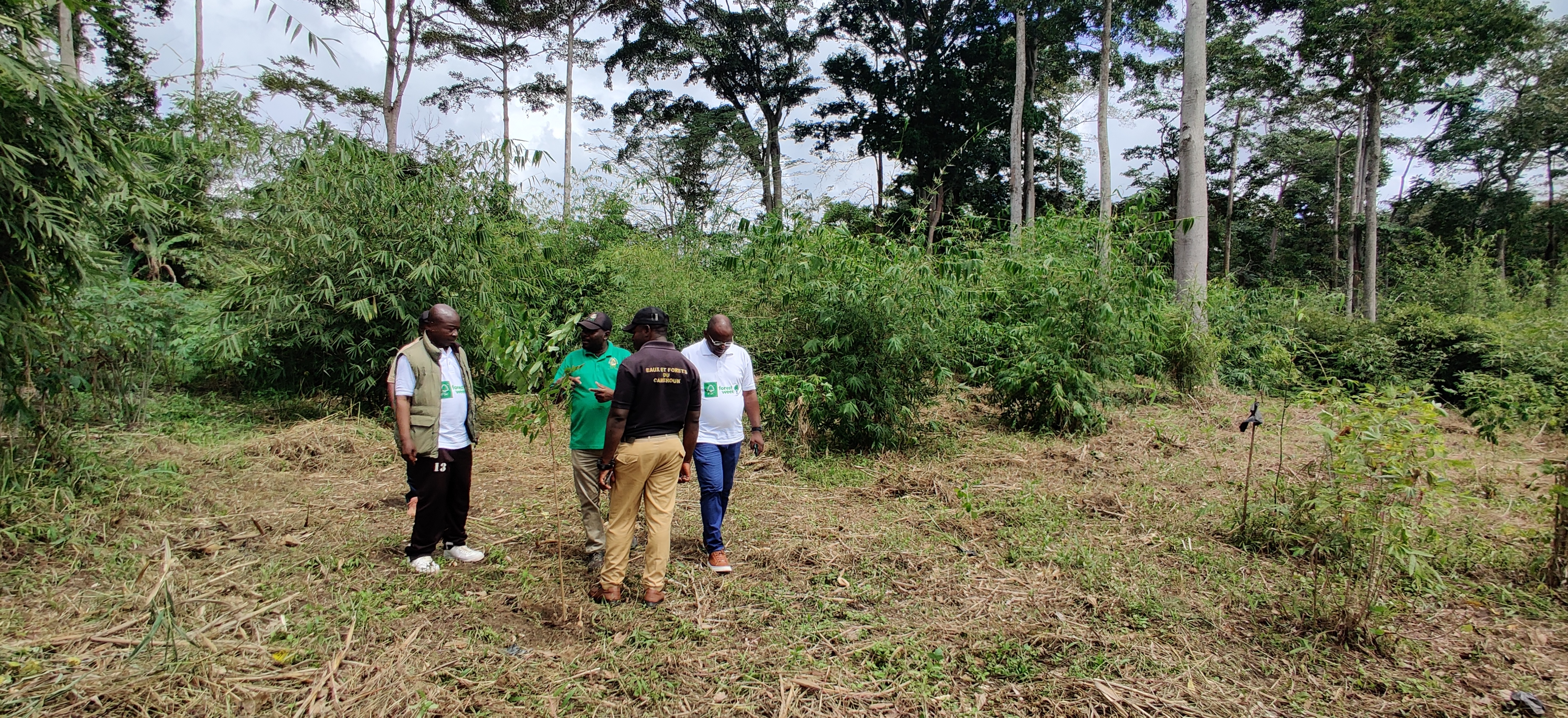 FSC at the Botanical trial