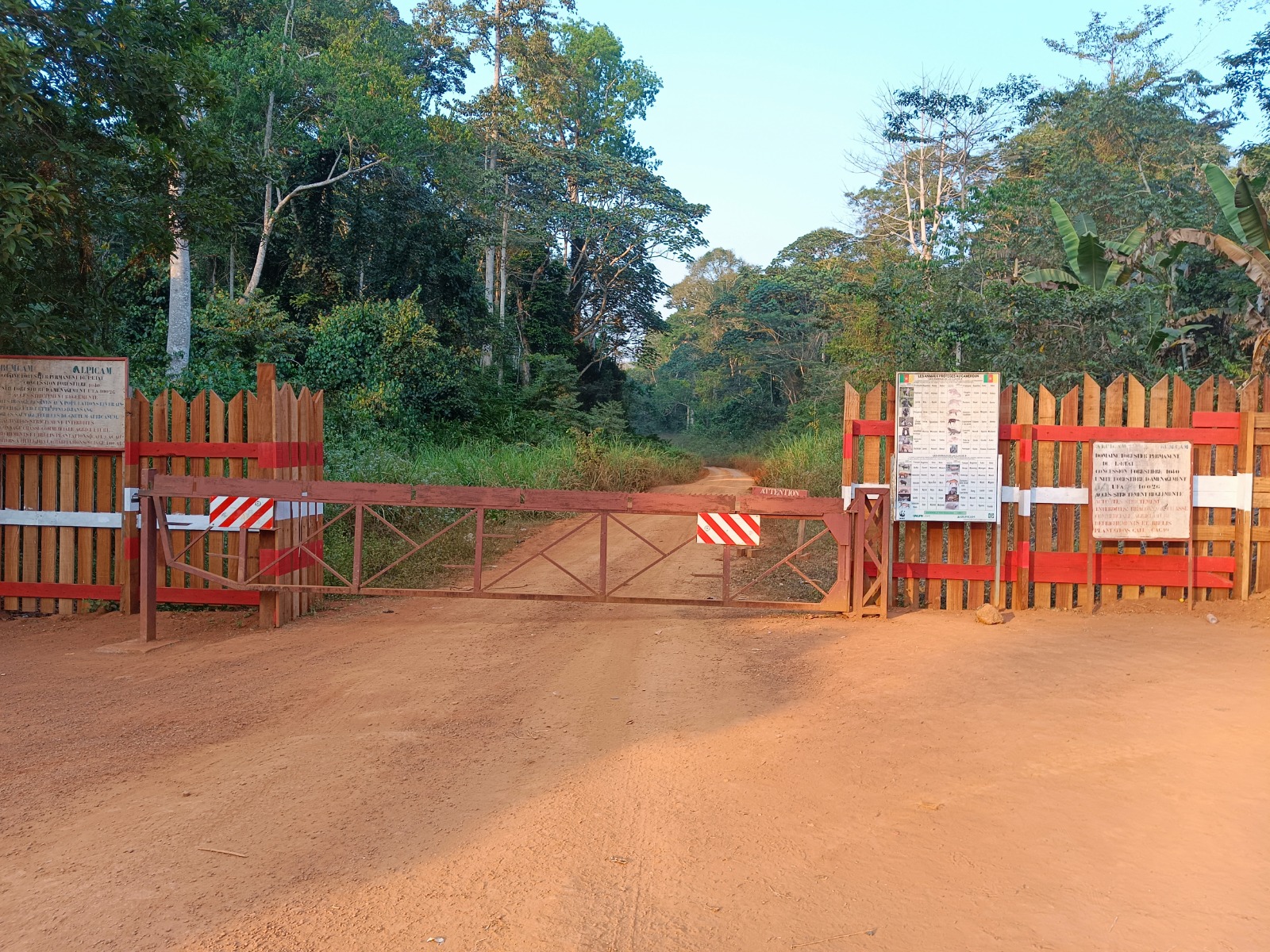 One GRUMCAM Forest Management Unit in Cameroon