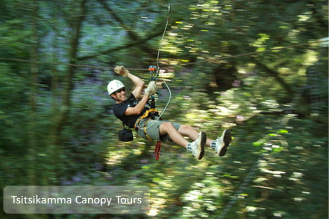 Canopy Tours