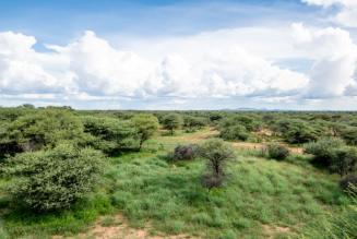 Namibia Grassland Restoration