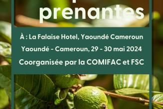COMIFAC Meeting French