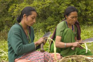 Certification brings the market to the mountains