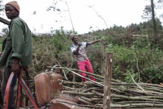 Smallholder Story