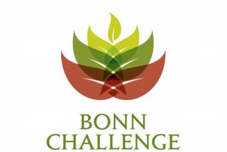 bonn challenge