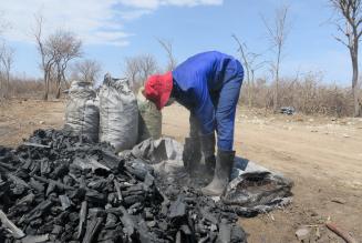 Charcoal worker on farm