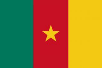 Drapeau Cameroun