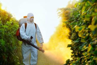 Pesticides