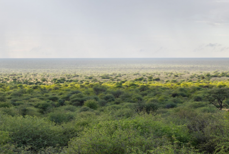 Namibia Landscape