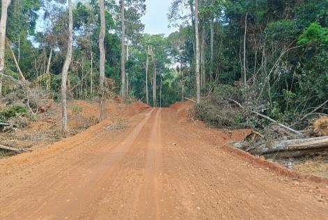 GRUMCAM Forest Management Unit in Cameroon