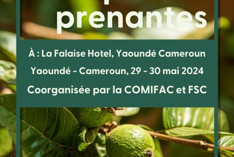 COMIFAC Meeting French