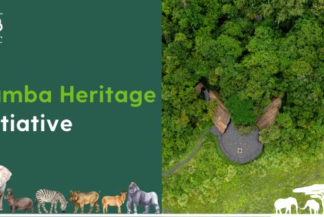 Zamba Heritage 2