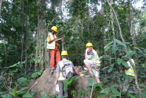 Rougier obtient la certification FSC de 3 concessions au Cameroun.