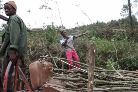 Smallholder Story