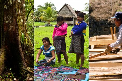 What does it really mean to be sustainable?