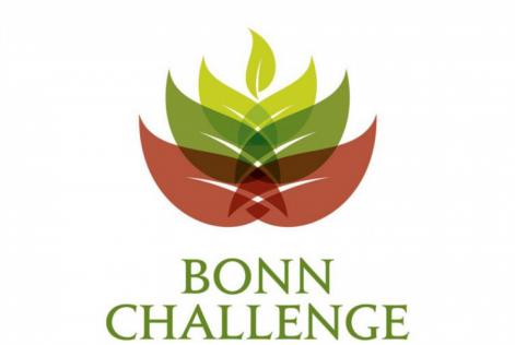 bonn challenge