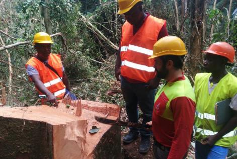 Gabonese field-testing in CFAD Bambidie