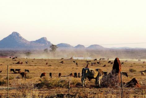 Namibia NFSS