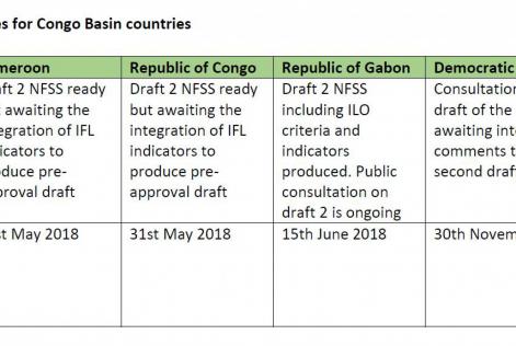 Congo Basin NFSS