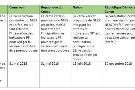 Point sur les NFSS dans les pays du bassin du Congo Février 2018