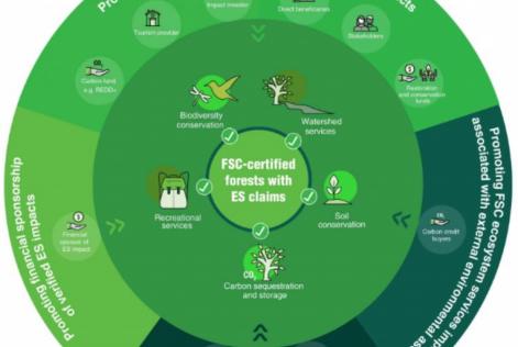 FSC Ecosystem services