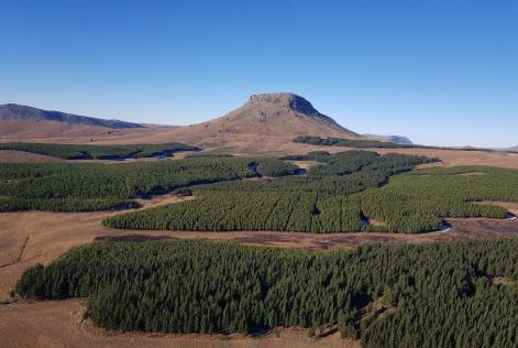 Amathole montains