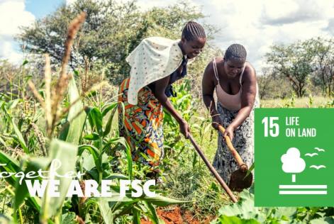 SDG , life on land, ending poverty