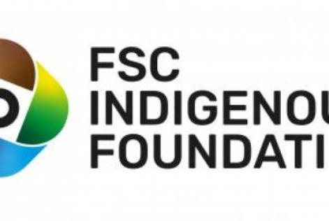 Logo Indigenous Fondation