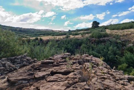 Communal land South Africa