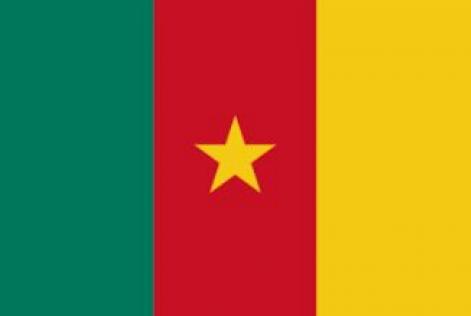 Drapeau Cameroun