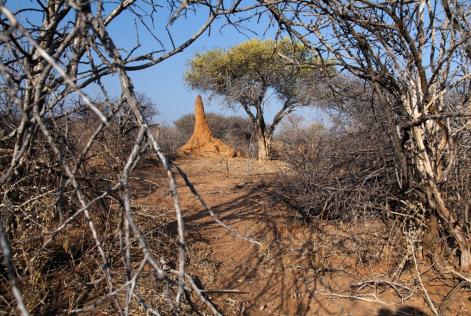 Namibia Ecosystem Services