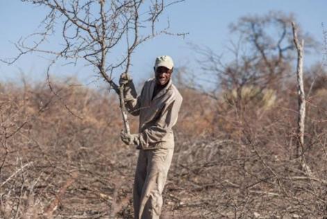 Aldi Charcoal Namibia