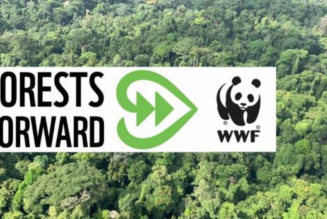 Forests Forward WWF