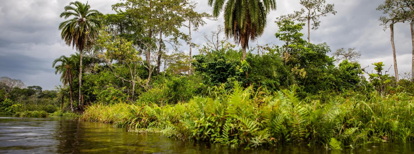 FSC Africa/Jonathan Perugia