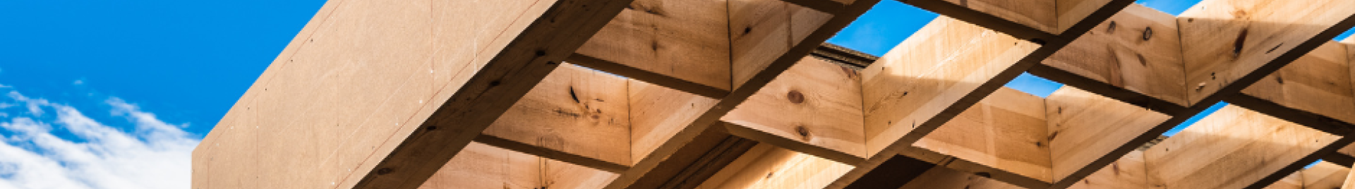 Timber Structure