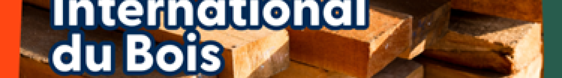 CIB 2024