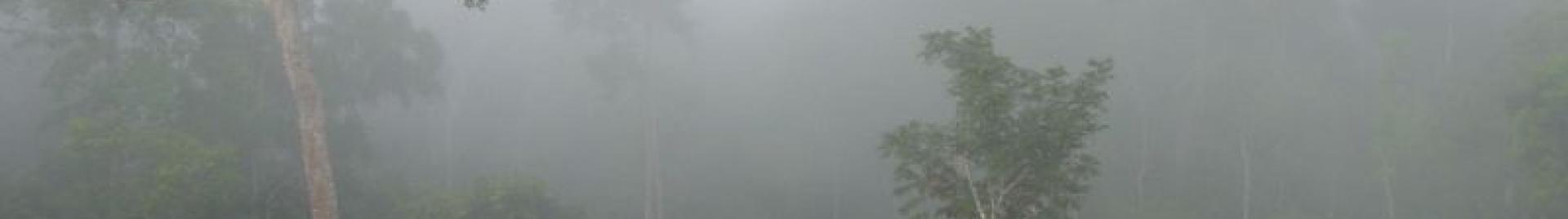 Image Credit: ROUGIER 