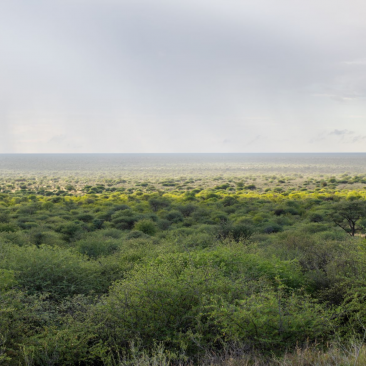 Namibia Landscape