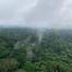 Gabon Forest FSC Africa