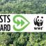 Forests Forward WWF